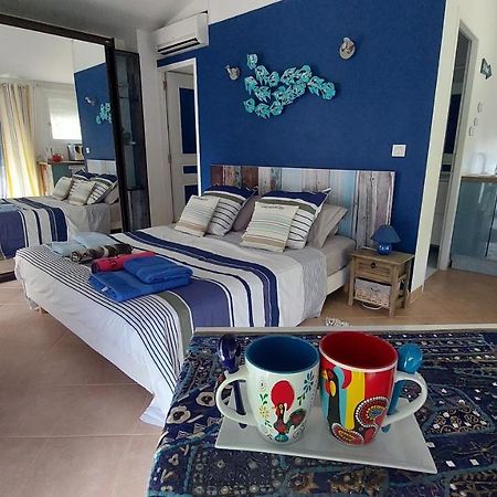 Dans Un Jardin Bb Et Jacuzzi Panzió Mandelieu Kültér fotó