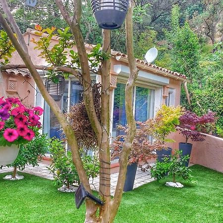 Dans Un Jardin Bb Et Jacuzzi Panzió Mandelieu Kültér fotó