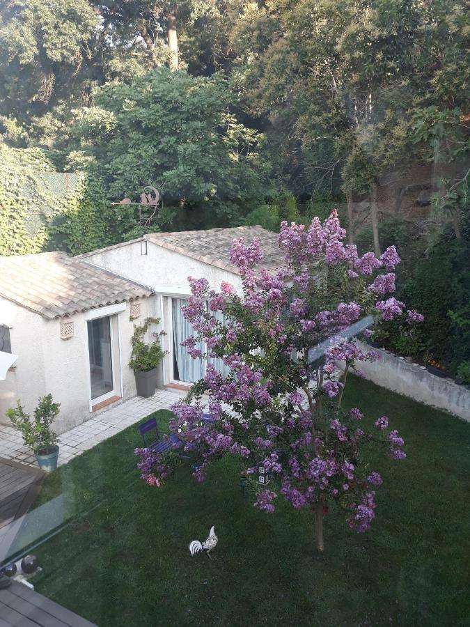 Dans Un Jardin Bb Et Jacuzzi Panzió Mandelieu Kültér fotó
