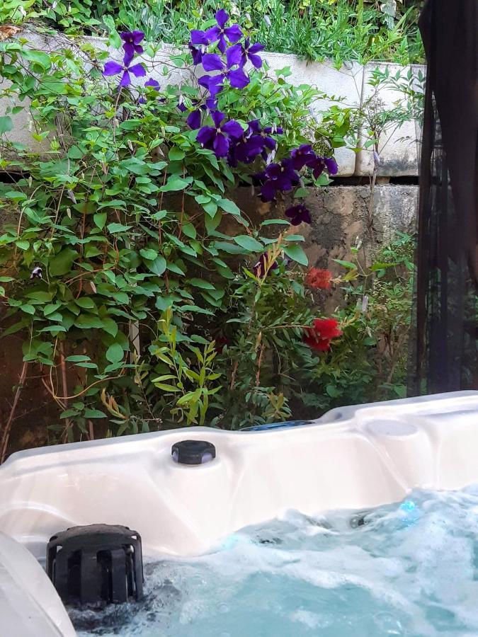 Dans Un Jardin Bb Et Jacuzzi Panzió Mandelieu Kültér fotó