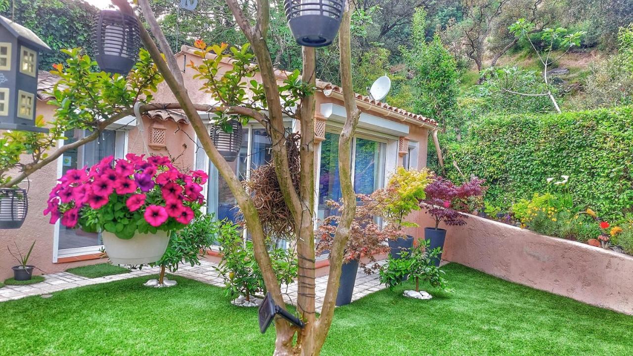 Dans Un Jardin Bb Et Jacuzzi Panzió Mandelieu Kültér fotó